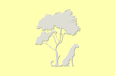Wild Yellow Long, par Xavier E. G. Dierick